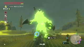 Can you kill a Lynel using ONLY Lizalfos arms?