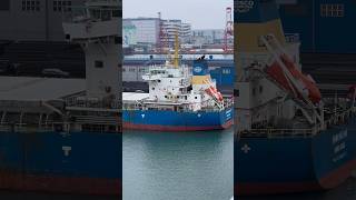 Cargo Ship In port loading/unloading operations #bigship #sailing