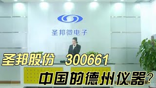 圣邦股份 中国的德州仪器 | 300661 | 模拟芯片 ｜国产模拟芯片龙头 ｜ 企业竞争力分析