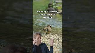 Me making up a backstory for the birds I am watching - Willem Dafoe Meme