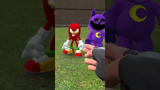 SHIN SONIC TAPES VS SMILING CRITTERS POPPY PLAYTIME SIZE COMPARISON in Garry's Mod!