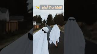 ليش بقولو انو القطط ب 7 أرواح#shorts