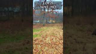 Lot 75 Noel, MO