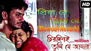 প্রিয়া রে প্রিয়া রে | Priya Re Priya Re(Slowed & Reverb) | Zubeen | Bengali Sad Lofi Song g.w.h.song