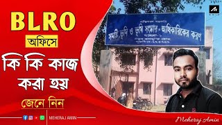 BLRO কি? BLRO এর কাজ কি? land & survey department