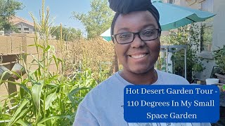 Hot & Windy Desert Garden Tour  - 110 Degrees In My Small Space Garden