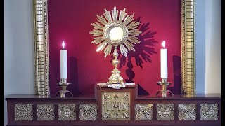 Adoración Eucarística Perpetua en VIVO - Perpetual Adoration LIVE