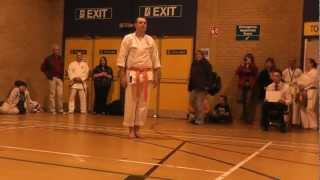 Gkr karate tournament birmingham 2013