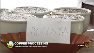 Coffee Cupping Process & Purpose