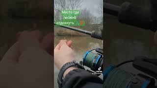 Релакс 💯🎣#fishing #нидерланды #utrecht #fishingvideo