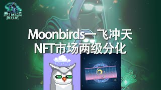 Moonbirds一飞冲天！NFT市场两级分化！