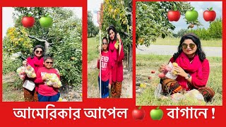 আমেরিকার আপেল বাগান | Apple Orchard In America |Bangladeshi American Vlogger