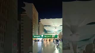 #asmairshad #islamic #islamicshortvideoforwhatsappstatus #madina #shortvideo #makkah #religion #live