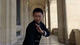 Dialogue with Louvre through Wushu (Chinese Martial Arts)