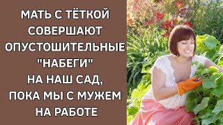 Мать с тёткой совершают опустошительные «набеги» на наш сад, пока мы с мужем на работе. История