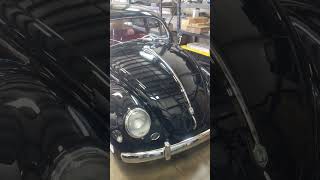 Black 1955 Oval VW BuG is Officially for Sale! #shorts #shortsvideo #vw