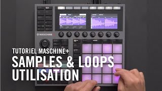 Utiliser des samples et des boucles avec MASCHINE+ (Expansion Trill Rays) | Native Instruments