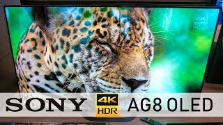 SONY Einsteiger-OLED AG8 in 55 & 65 Zoll auf der Roadshow 2019 (4K / 60p)