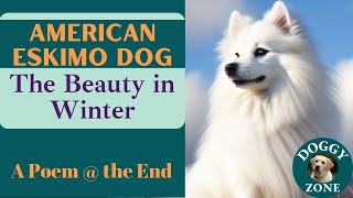 American Eskimo Dog | Everything You Need to Know About This Beloved Dog Breed | Dog Lovers