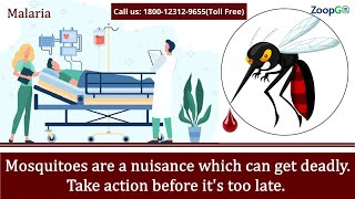 Keep mosquitoes at bay with pest control services in Delhi