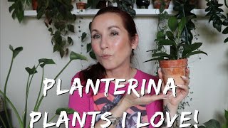 My FAVORITE Planterina Purchases!