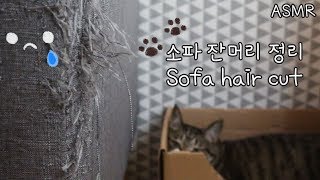 ASMR 소파 잔머리 정리🛋 🐾Sofa hair cut / Eng sub