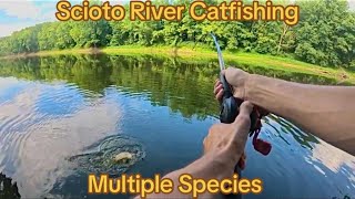 Targeting Flathead Catfish In This Deep River Channel!! (Unexpected Catch)