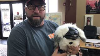 Thinkin Thursday - Hall's Harley-Davidson's Pet Apparel