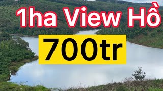 Bán View Hồ Đắk Nông - 1ha xã Nhân Đạo, View Đẹp, Đường bê tông tới ngõ