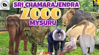 🐾 Sri Chamarajendra Zoological Gardens | Mysore Zoo 🐘 | Must Visit Wildlife Spot 🌳| Viki'z Finding'z