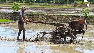 joki junior dengan gaya dan santainy mengoprasikan traktor sawah Quick g1000 boxer kubota rd 85 di2t