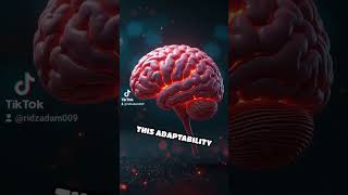 Unlocking the brain's mystery #youtuber #mrbeast #youtube #shorts #trending#viral #fyp#youtubeShorts