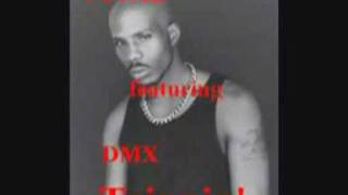 Total feat. DMX - Trippin' RMX