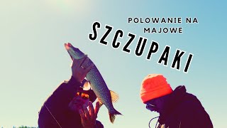 MAJOWE SZCZUPAKI Z ŁÓDKI!