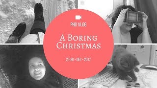 PhD VLog: A boring Christmas