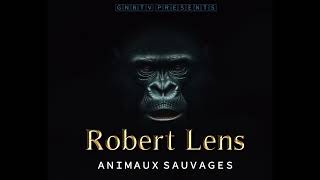 Robert Lens ANIMAUX SAUVAGES (Audio officiel)prod bye @gnbtvofficiel9350