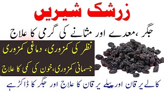 zarishk ke fayde | barberry benefits in urdu | zarishk shireen benefits in urdu | zarshak kya hai