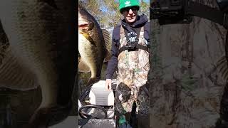 BASS double up!🤪 #bassfishinglife #fishing #youtubeshorts #shorts #shortvideo #subscribe #youtube