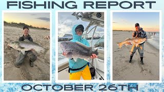 New Jersey Fishing Report October 26th #fishingreport #surffishing