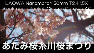 あたみ桜 糸川桜まつり | BMPCC 4K | LAOWA Nanomorph 50mm T2.4 1.5X Anamorphic Super35