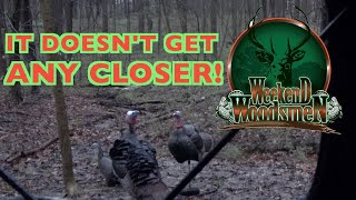 INSANELY CLOSE Bow Hunt! | Spring Gobbler in the Rain