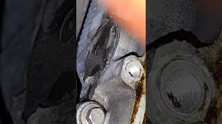 how u can check ur timing belt Citroen ,Peugeot Opel ,Ford . timing Belt drive with oil #automobile