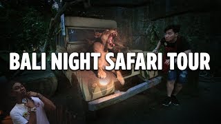 BALI NIGHT SAFARI TOUR