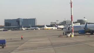 Внуково, перед вылетом/ Vnukovo, waiting flight