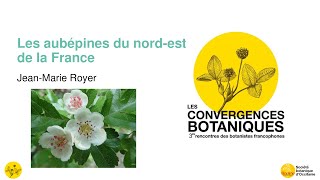 Convergences botaniques 2022 - 3. Les Crataegus du Nord-Est de la France (Jean-Marie Royer)