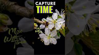 Capture Time - Motion - Time Lapse Video Photography - Hyperlapse Videos   #Shorts #Youtubeshorts