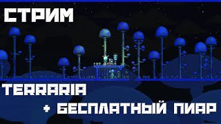 стрим terraria | стрим террария | бесплатный пиар и оценка каналов