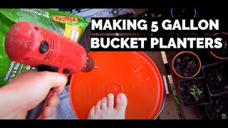 Apartment Balcony Gardening DIY IX: Making 5 Gallon Bucket Planters