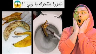 شو هاد والله انصدمت في أحد يشرح لنا😱