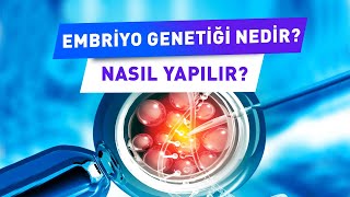 Embriyo Genetiği Nedir ve Kimlere Yapılır? Embriyo Genetiği ile Tüp Bebek Tedavisi